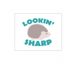Lookin' Sharp Greeting Card Lookin' Sharp Greeting Card
