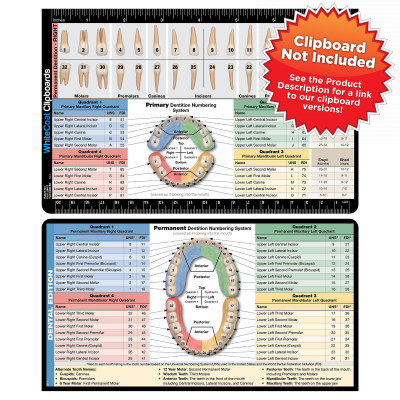 Dental Adhesive Reference Label