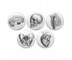 Vintage Anatomy Pinback Buttons Vintage Anatomy Pinback Buttons