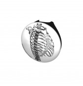 Vintage Ribcage Diagram Stethoscope Button