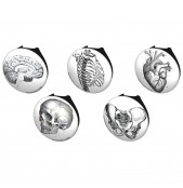 Vintage Anatomy Stethoscope Button Pack